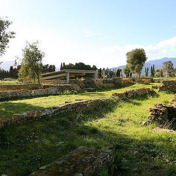 La cité antique de Mariana à Lucciana