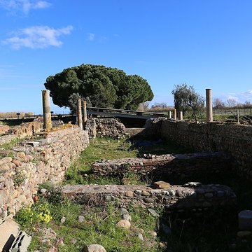 La cité antique de Mariana à Lucciana