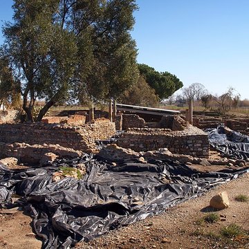 La cité antique de Mariana à Lucciana