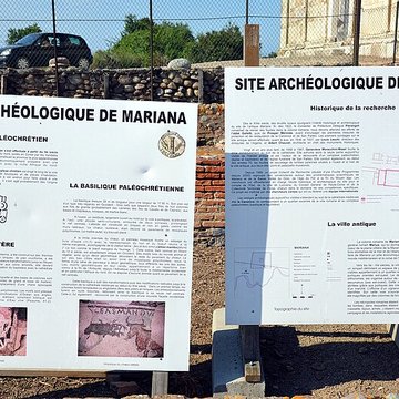 La cité antique de Mariana à Lucciana