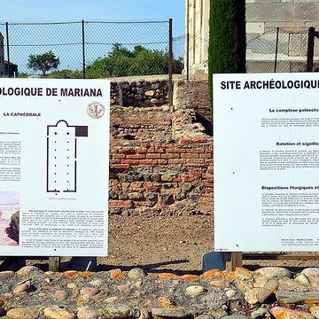 La cité antique de Mariana à Lucciana