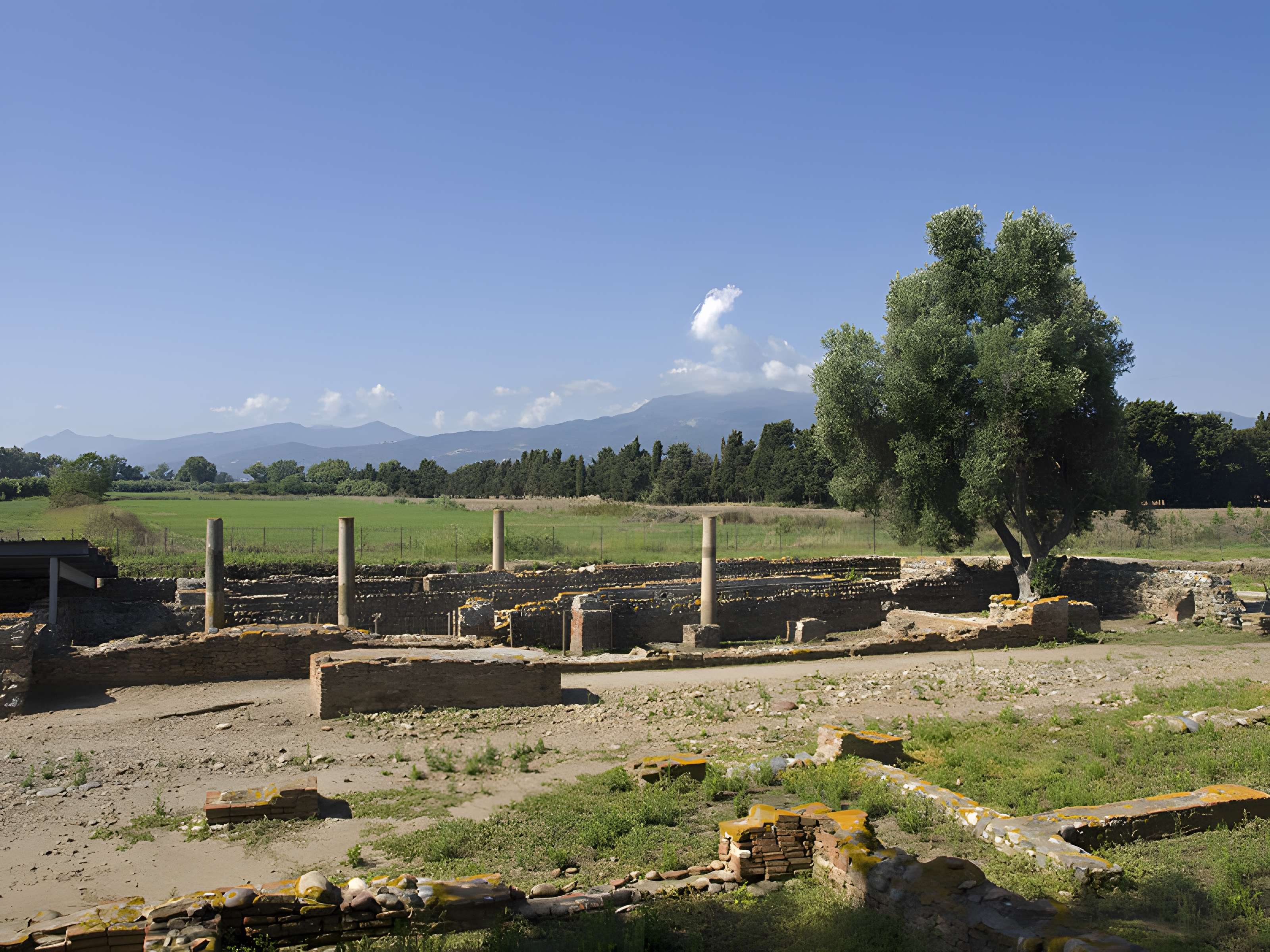 La cité antique de Mariana à Lucciana