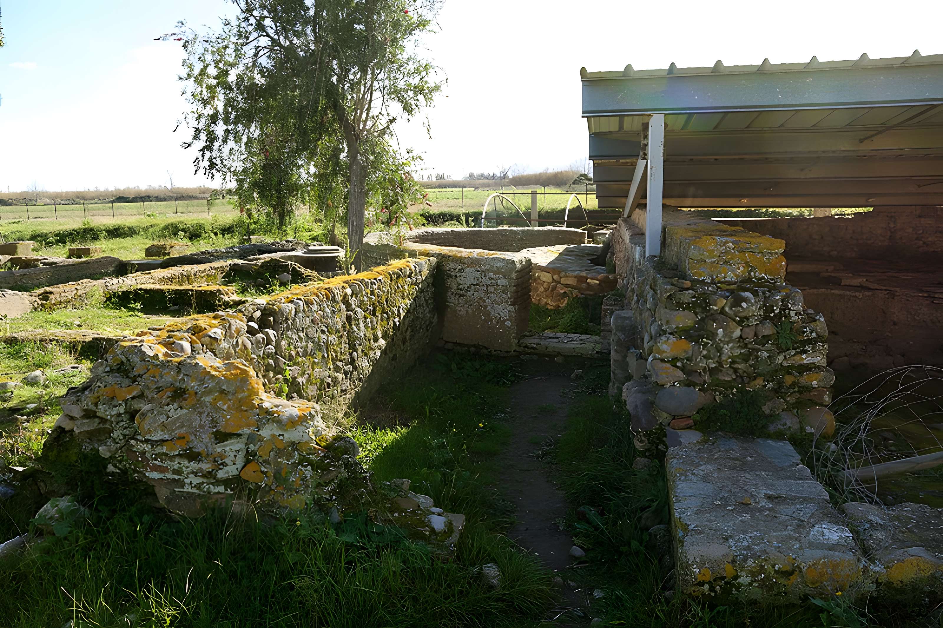 La cité antique de Mariana à Lucciana