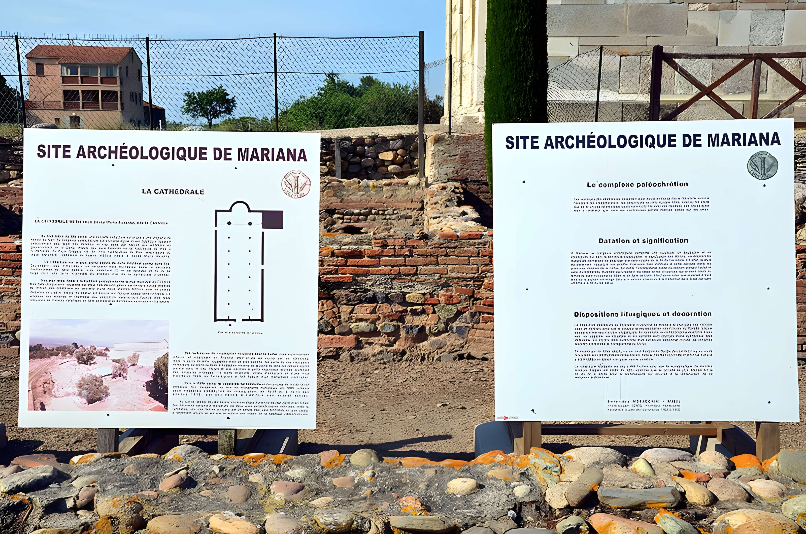 La cité antique de Mariana à Lucciana