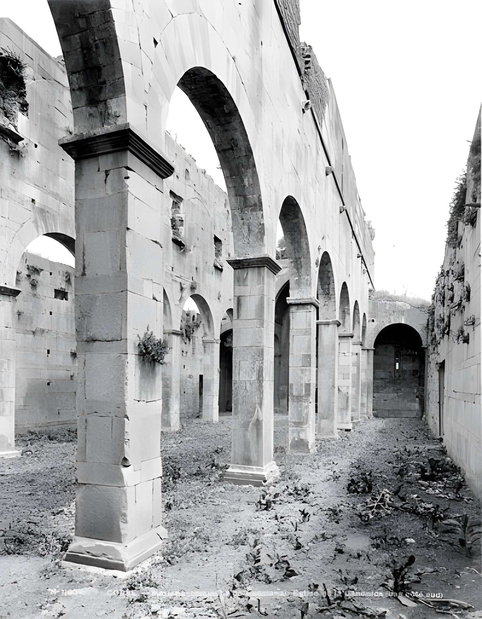 La cité antique de Mariana à Lucciana