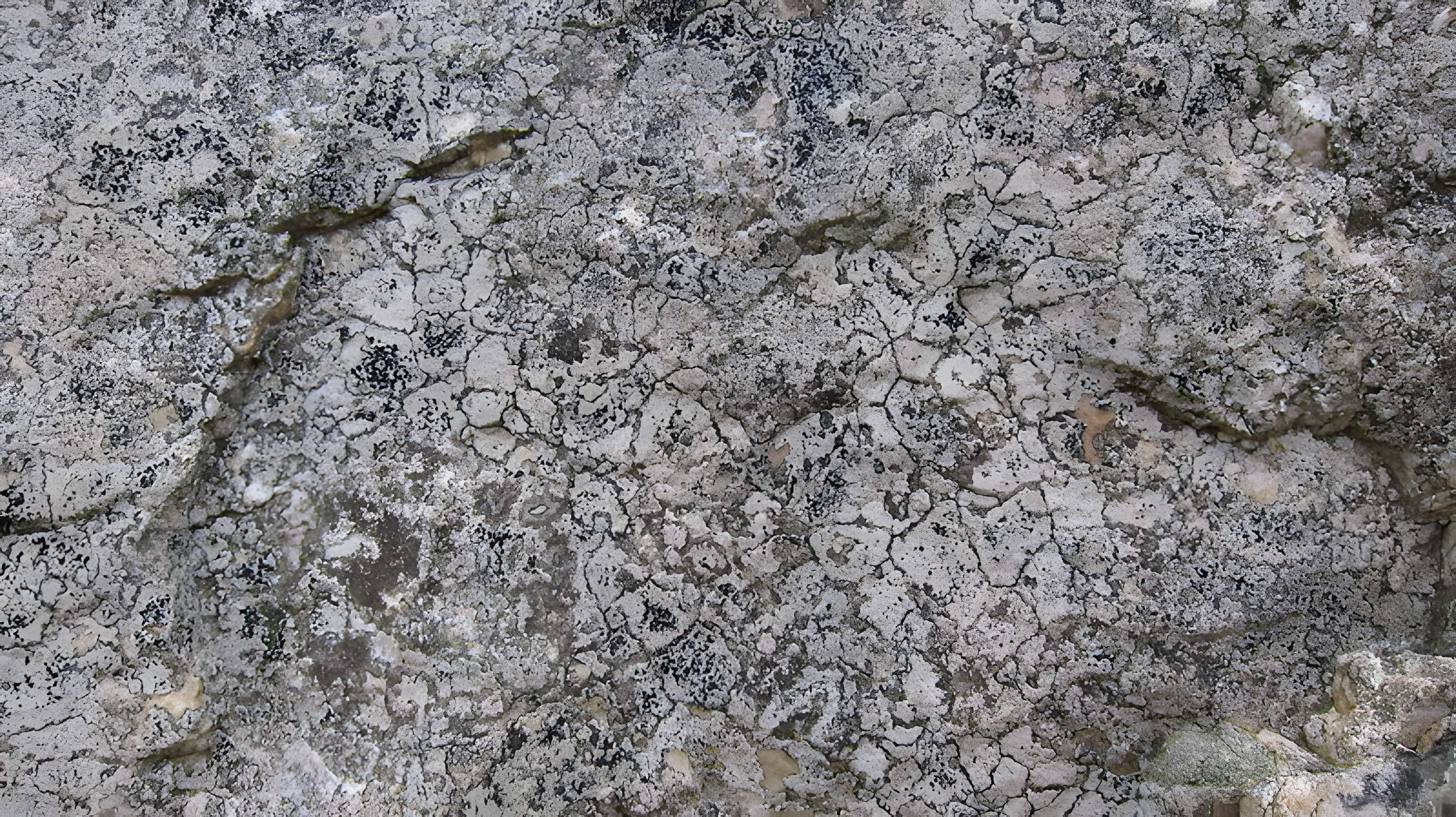 La Pierre Blanche de Pocé-les-Bois