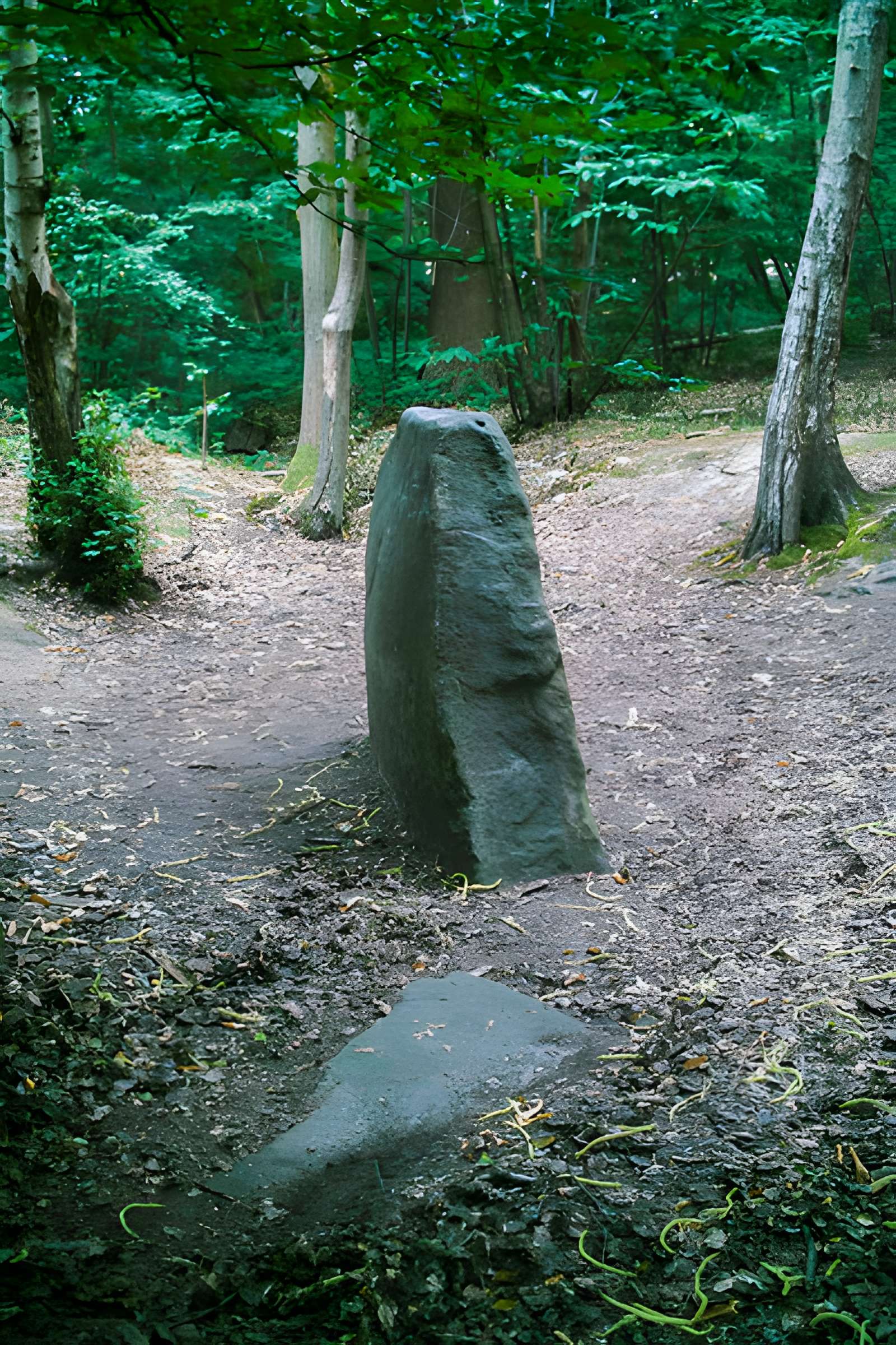 La Pierre de Chalais de Clamart