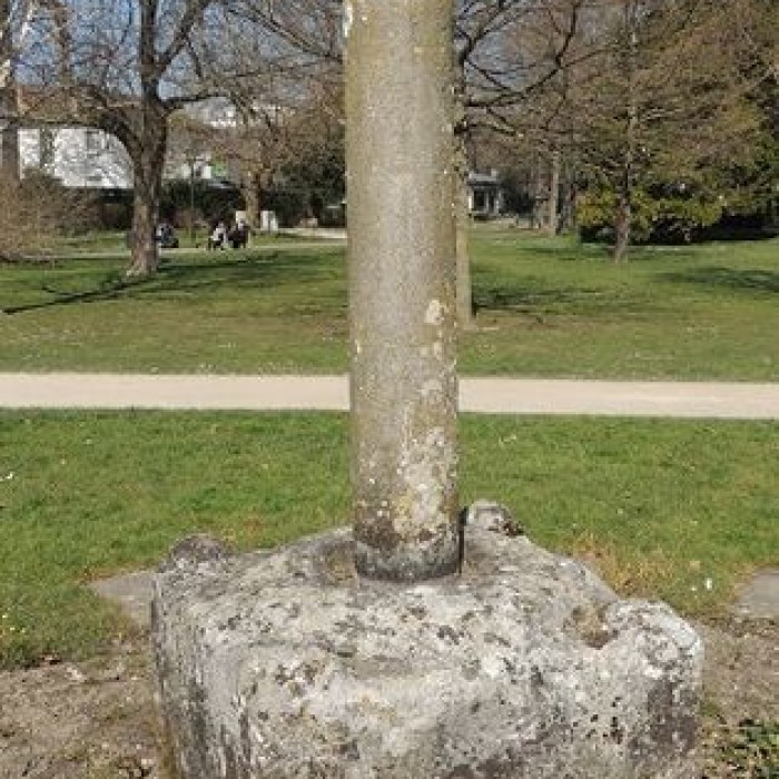 Photo de Monument dit de Chilpéric restes