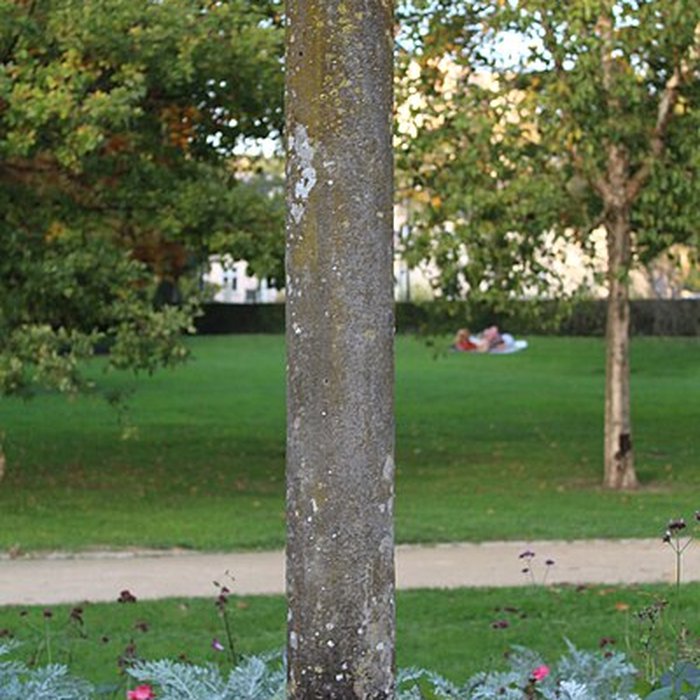 Photo de Monument dit de Chilpéric restes