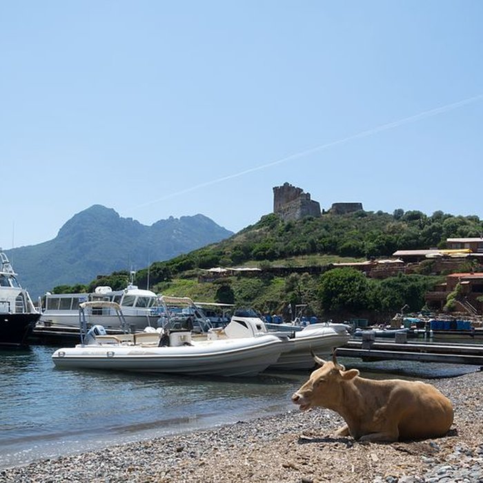 Photo de Fortin de Girolata à Osani