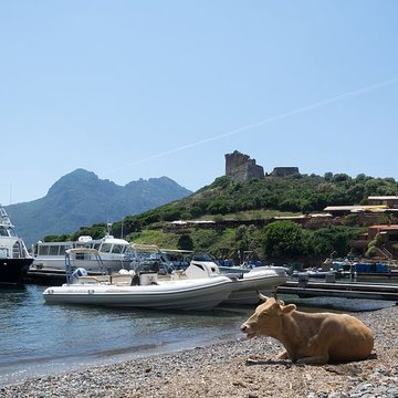 Fortin de Girolata à Osani