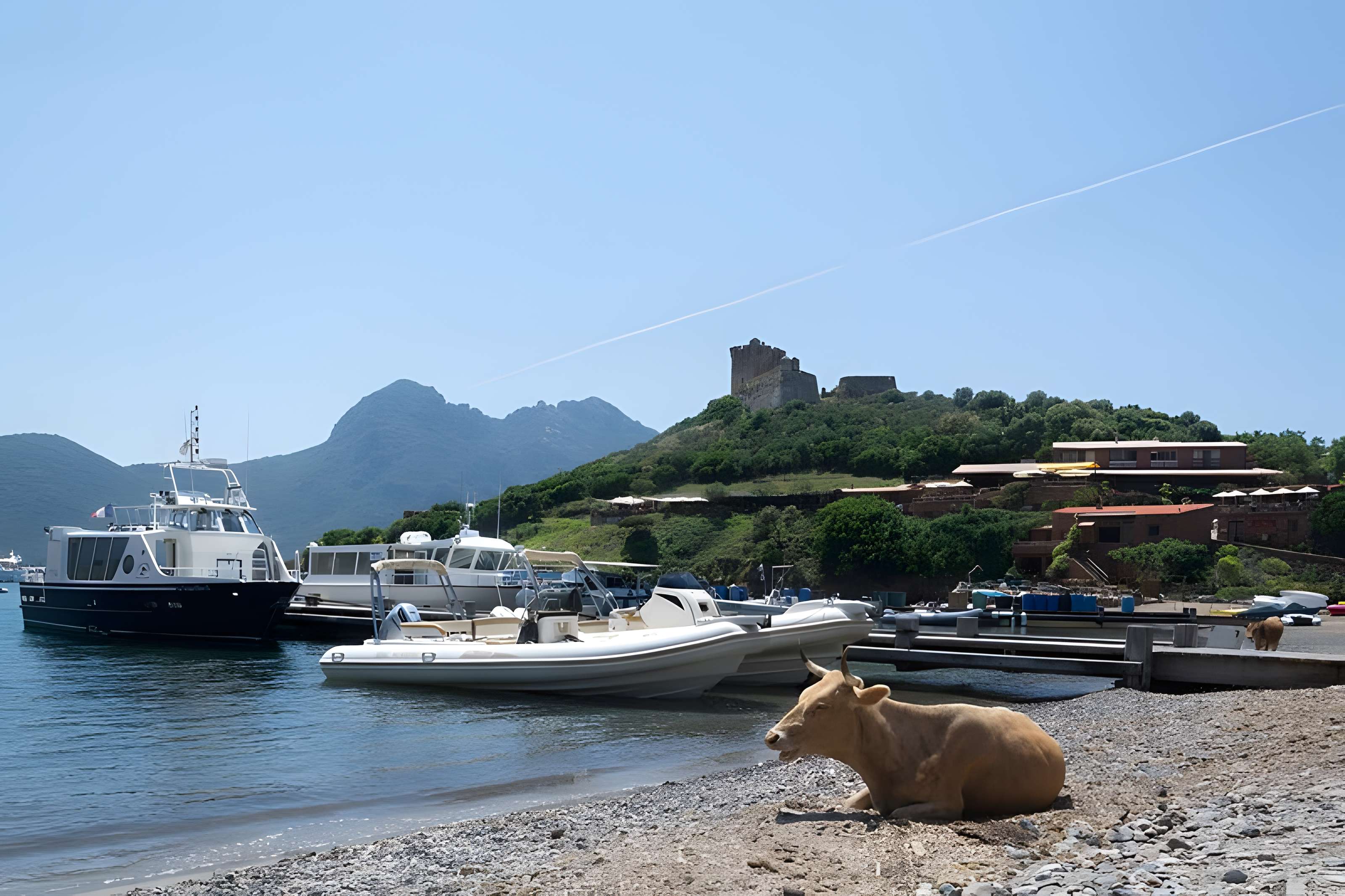 Fortin de Girolata à Osani
