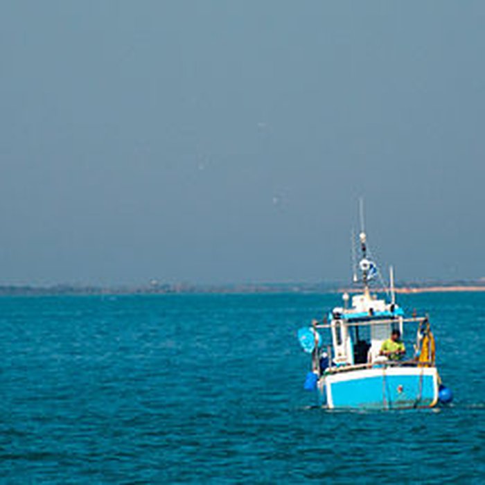 Photo de Forts de la Hougue et de Tatihou de Saint-Vaast-la-Hougue