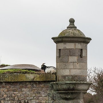 Forts de la Hougue et de Tatihou de Saint-Vaast-la-Hougue
