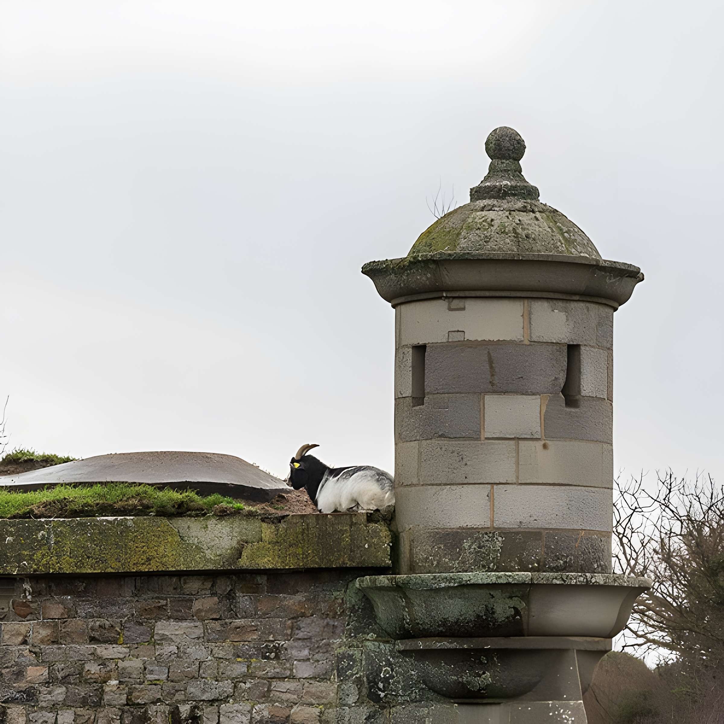 Forts de la Hougue et de Tatihou de Saint-Vaast-la-Hougue