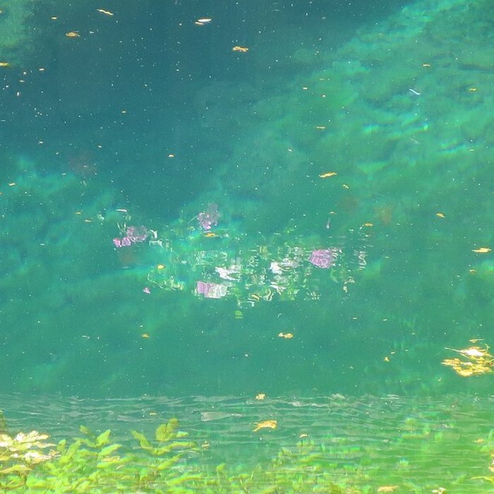 Photo de Fosse Dionne de Tonnerre