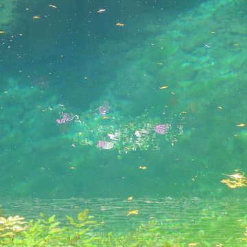 Fosse Dionne de Tonnerre