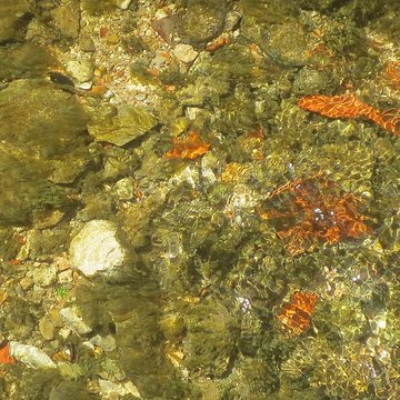 Fosse Dionne de Tonnerre