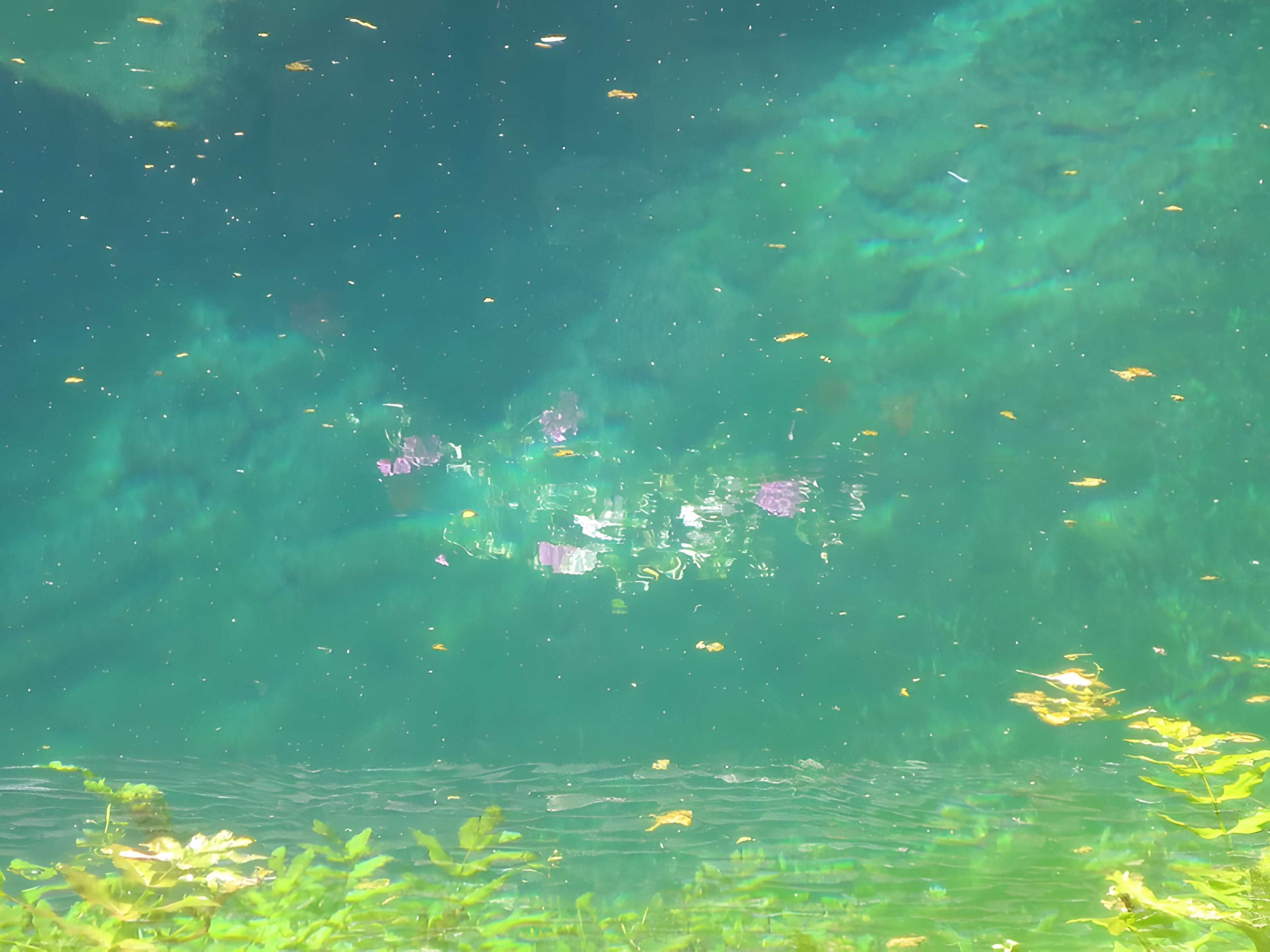 Fosse Dionne de Tonnerre