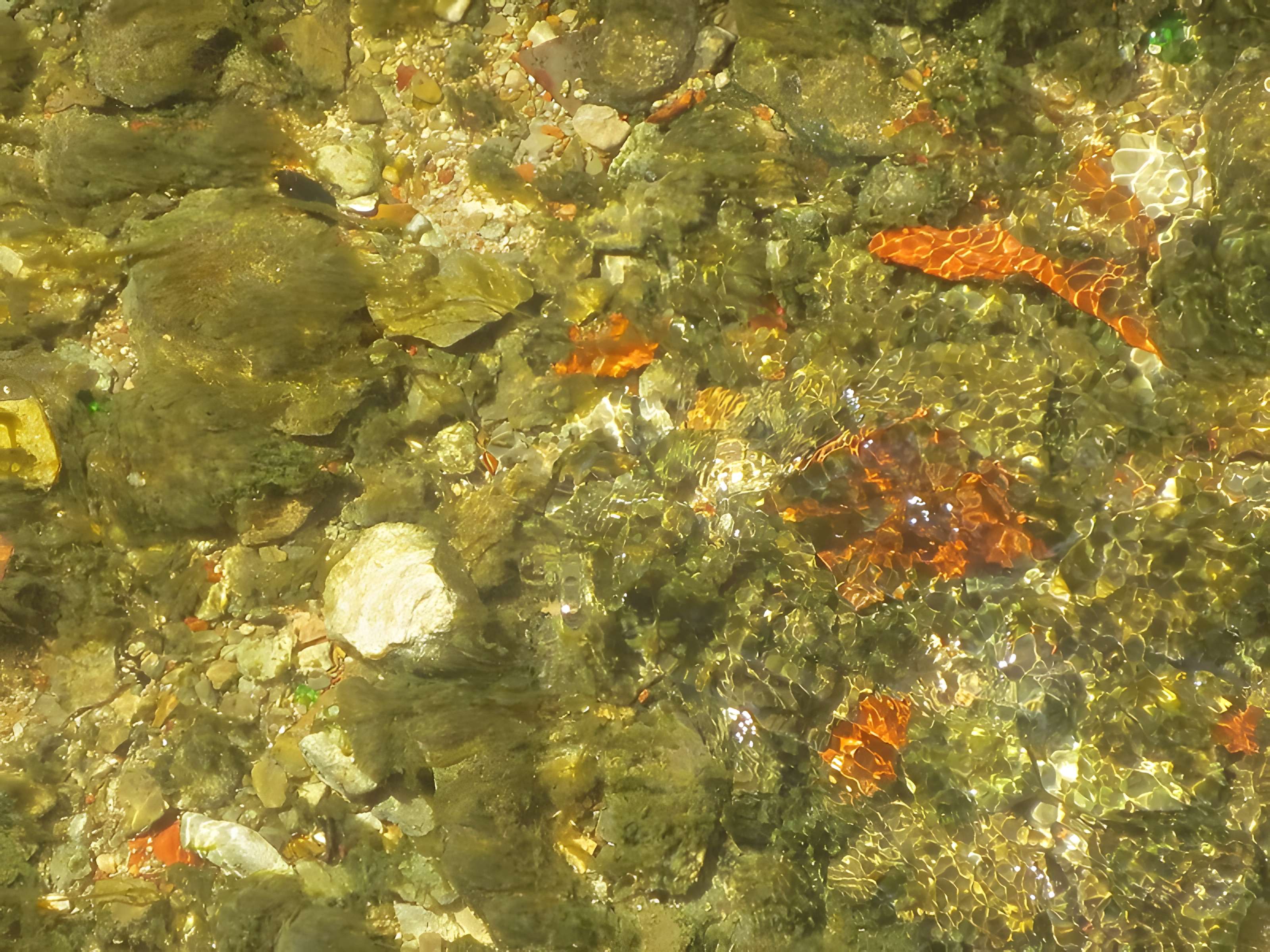 Fosse Dionne de Tonnerre