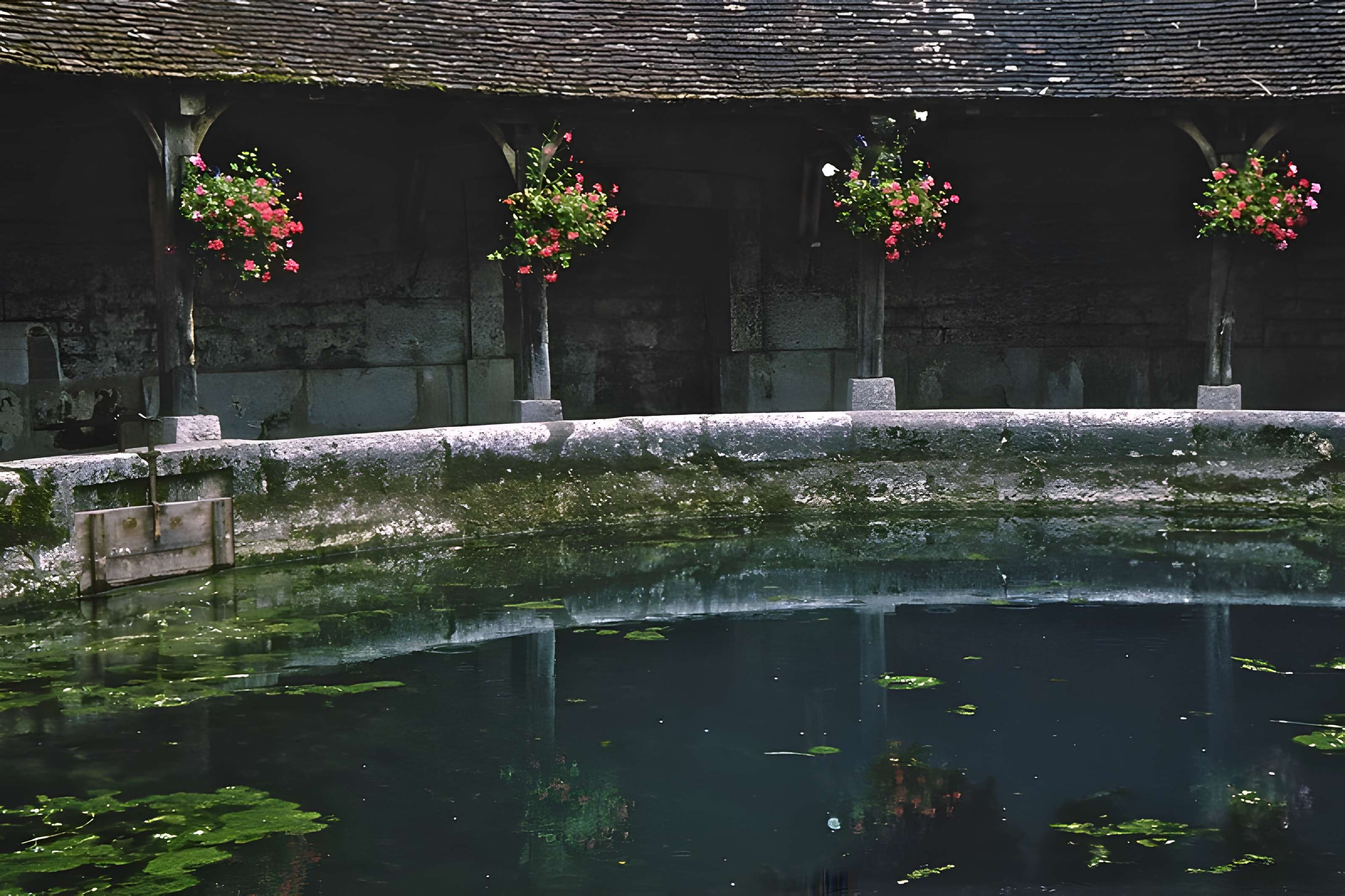 Fosse Dionne de Tonnerre