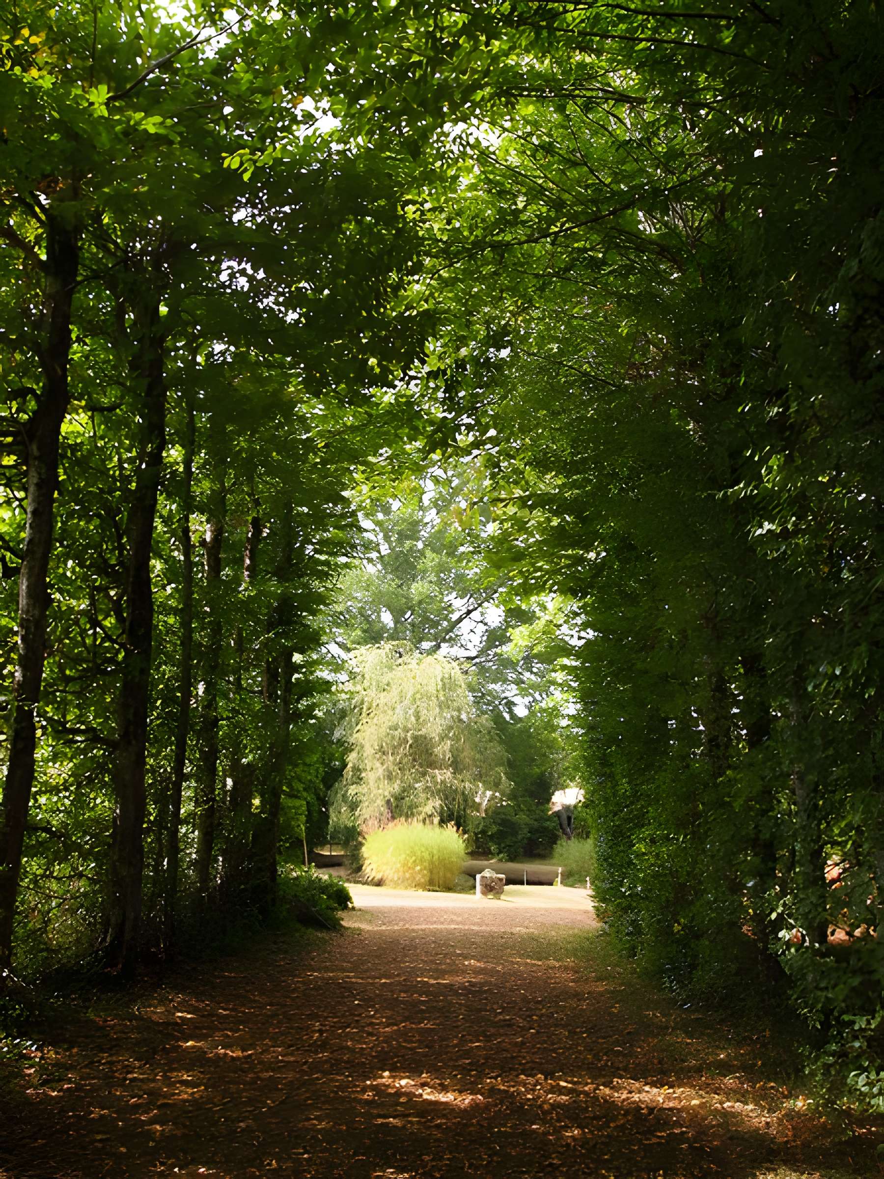 Logis de Chênard à Chavenat