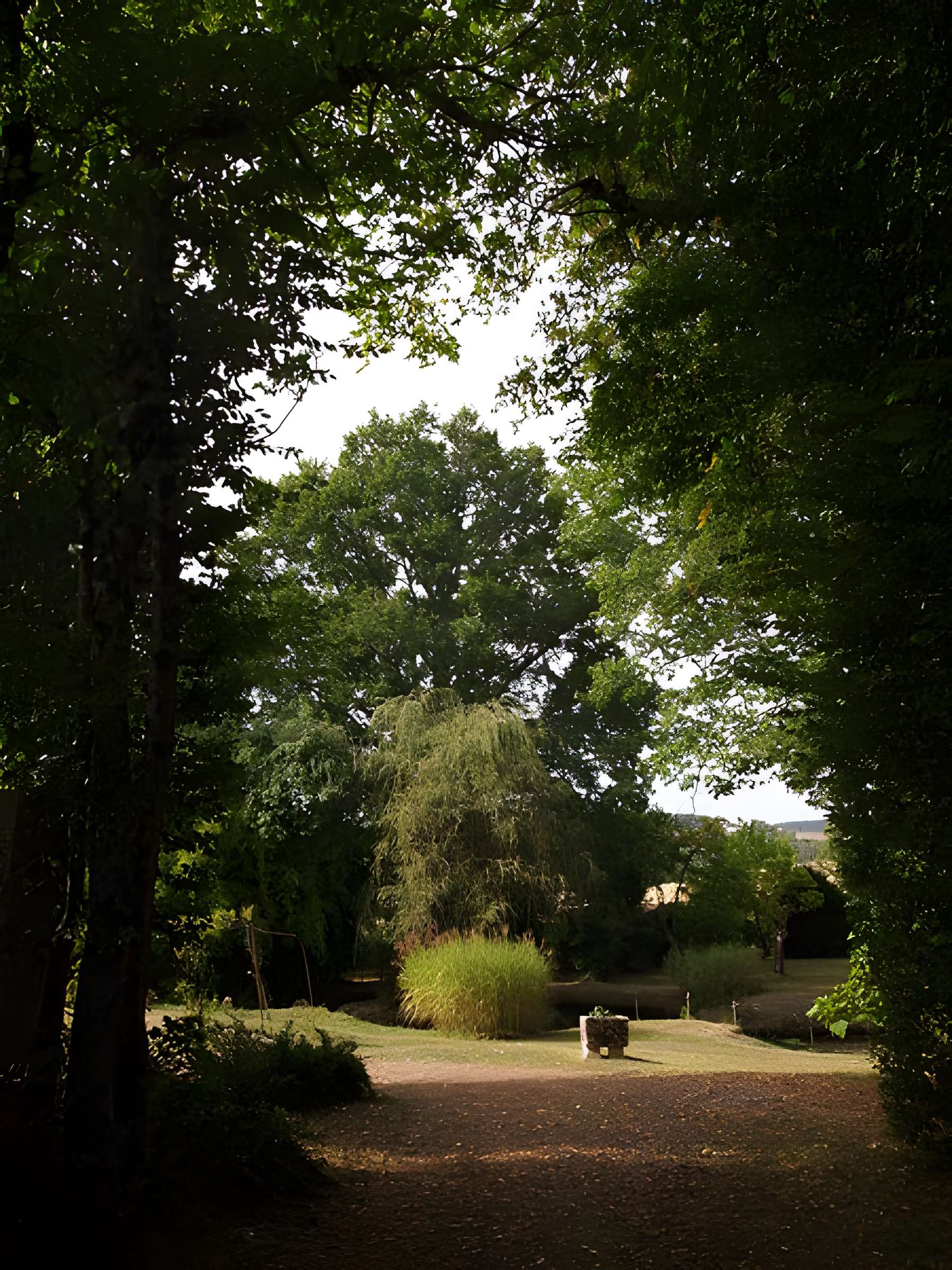 Logis de Chênard à Chavenat