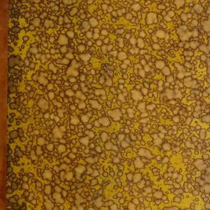 Photo de Lycée Hoche de Versailles