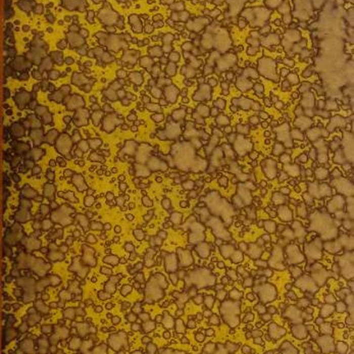 Photo de Lycée Hoche de Versailles