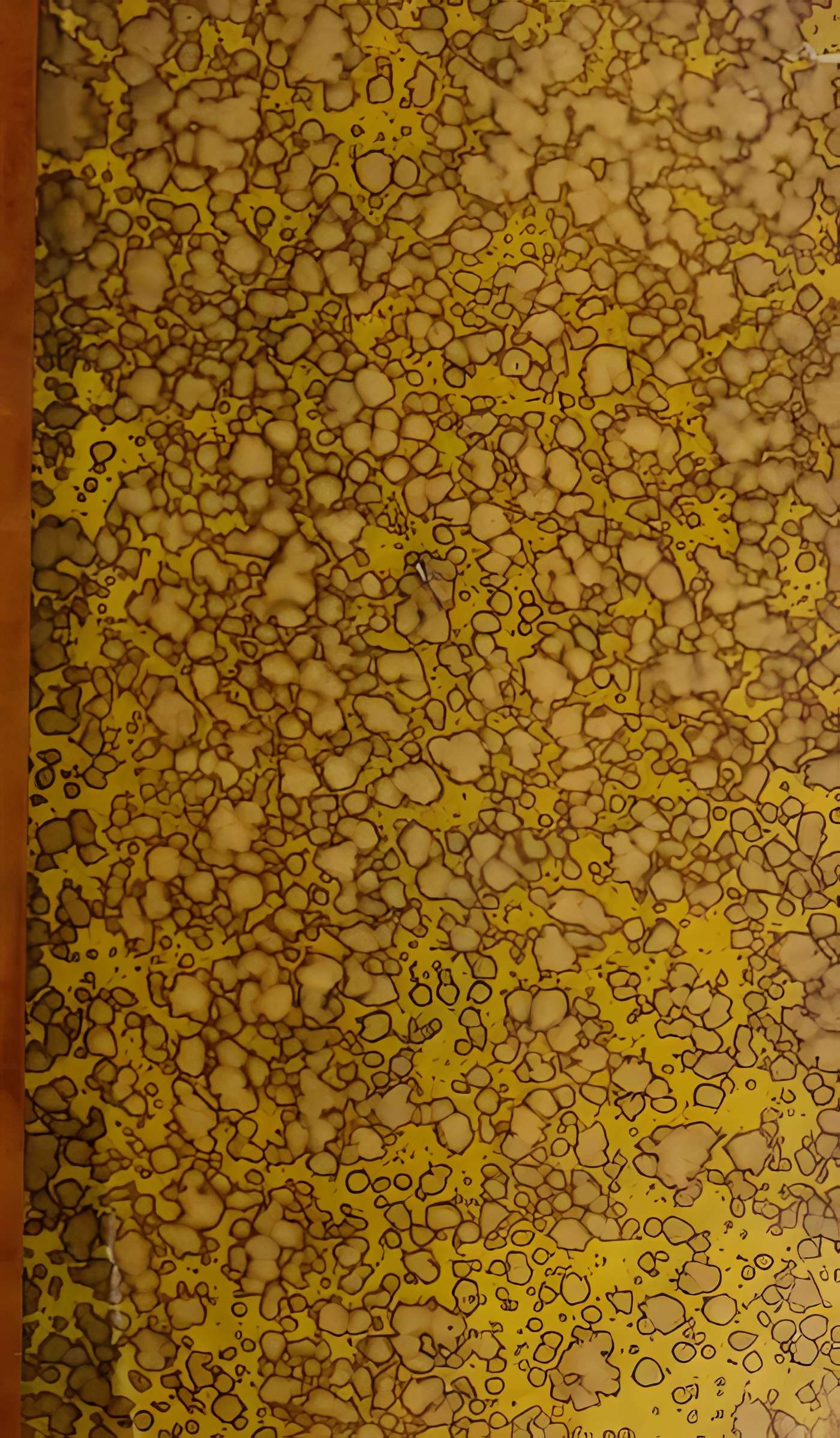 Lycée Hoche de Versailles