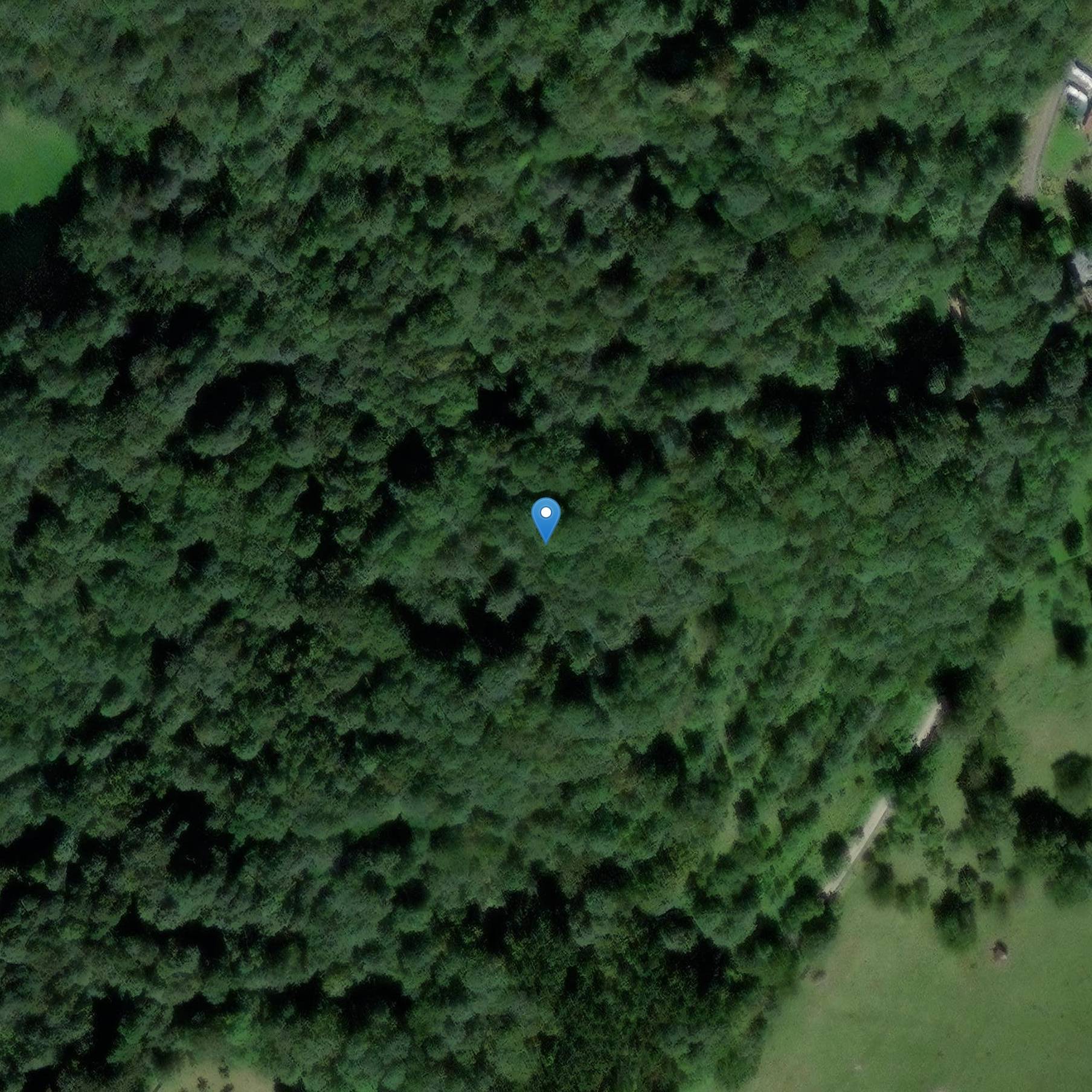 Photo de ツリーハウス、15 ルート・ド・パリ・ア・クランモン・エン・アルゴンヌ