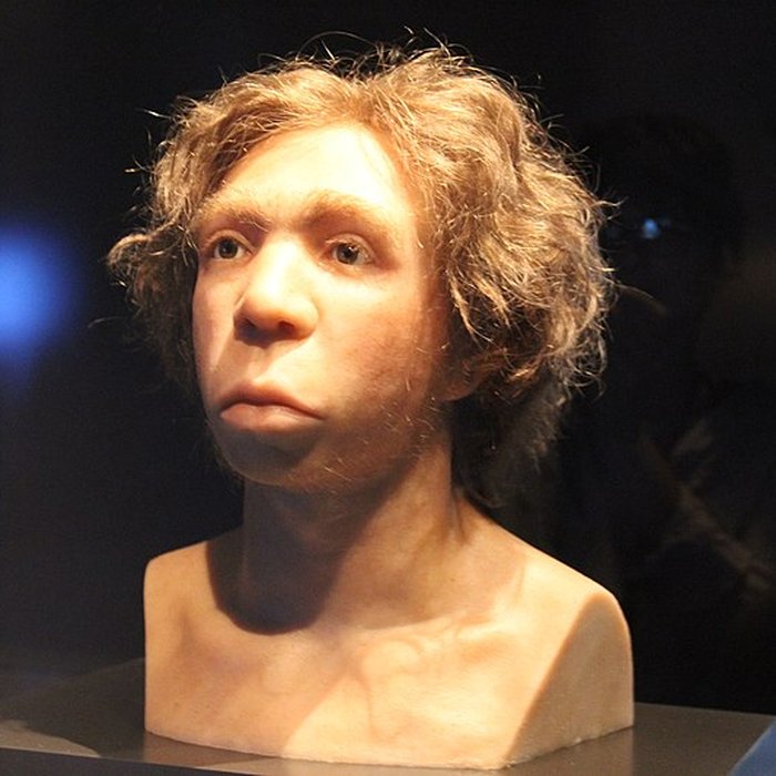 Photo de Gisement préhistorique du Moustier à Saint-Léon-sur-Vézère