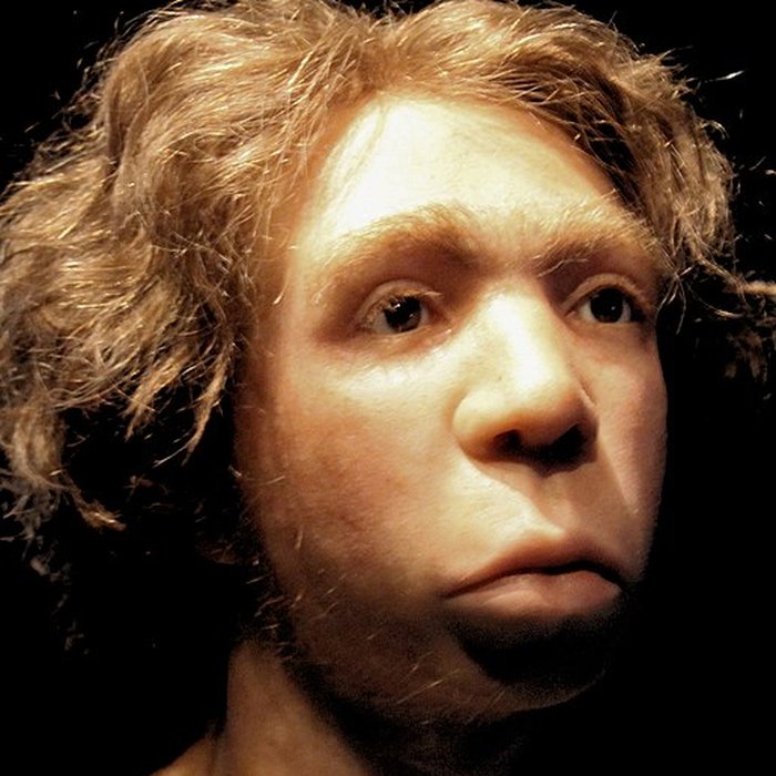 Photo de Gisement préhistorique du Moustier à Saint-Léon-sur-Vézère