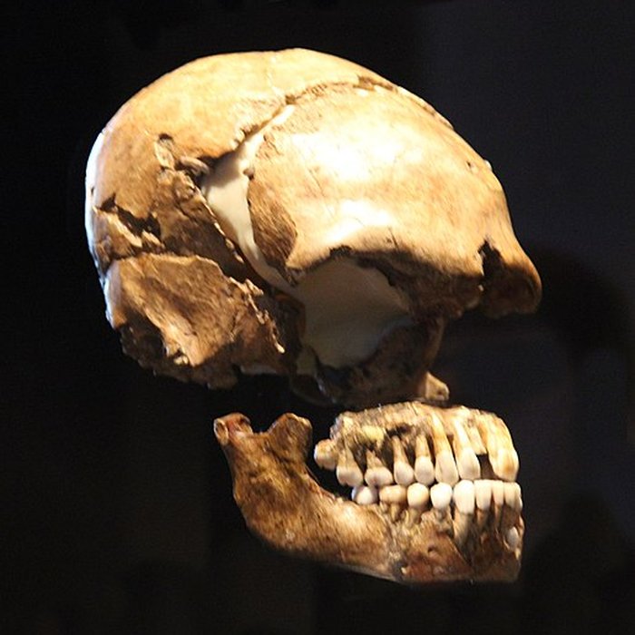 Photo de Gisement préhistorique du Moustier à Saint-Léon-sur-Vézère