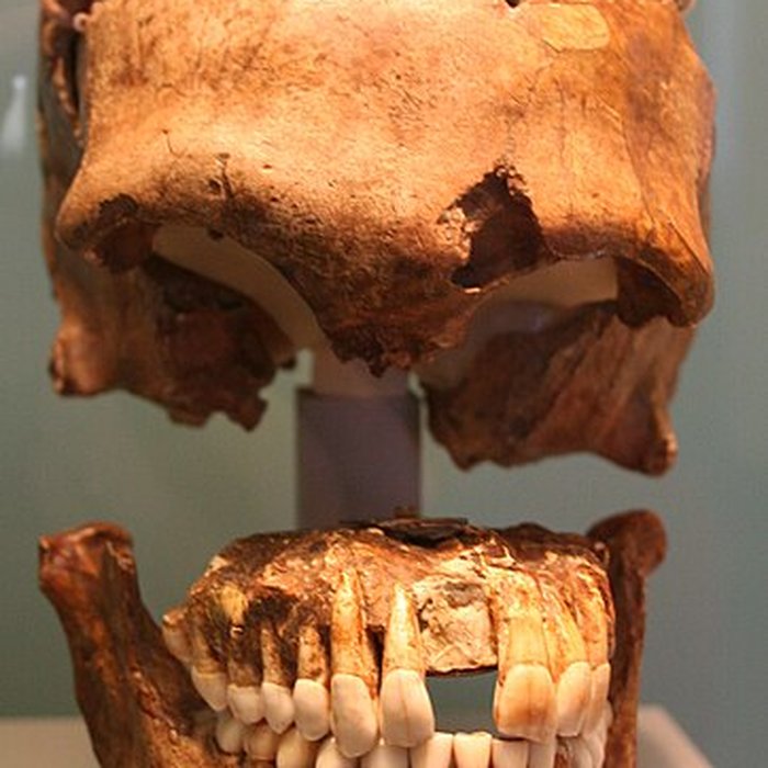 Photo de Gisement préhistorique du Moustier à Saint-Léon-sur-Vézère