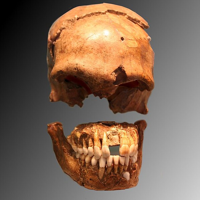 Photo de Gisement préhistorique du Moustier à Saint-Léon-sur-Vézère