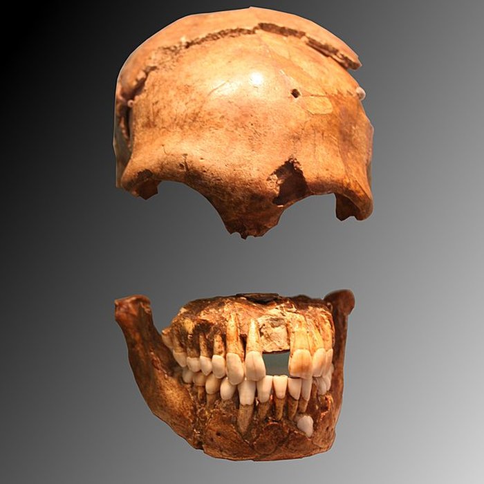 Photo de Gisement préhistorique du Moustier à Saint-Léon-sur-Vézère