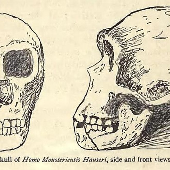 Photo de Gisement préhistorique du Moustier à Saint-Léon-sur-Vézère