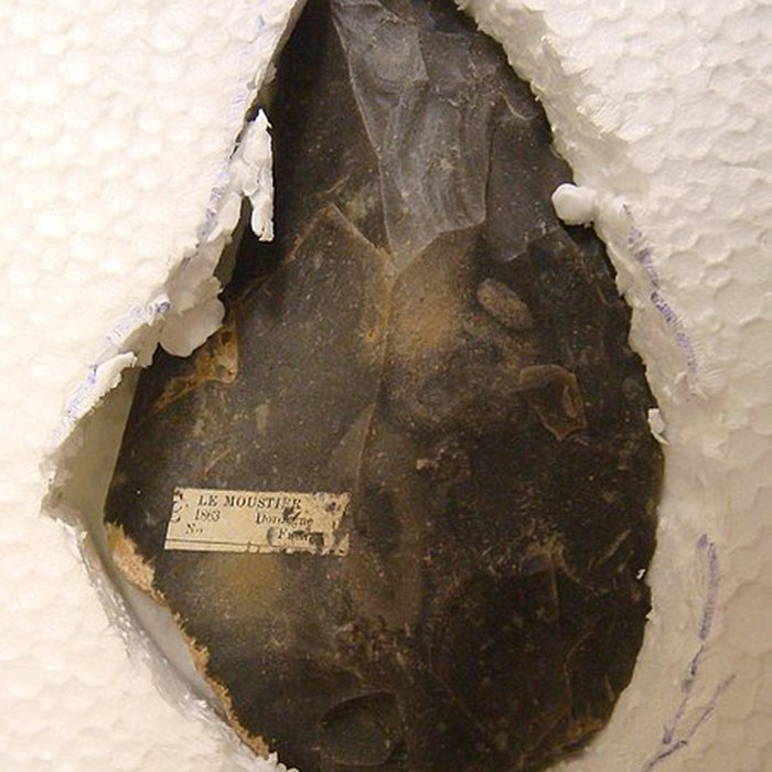 Photo de Gisement préhistorique du Moustier à Saint-Léon-sur-Vézère