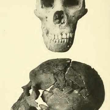 Gisement préhistorique du Moustier à Saint-Léon-sur-Vézère