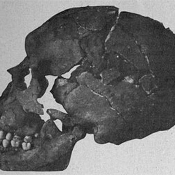 Gisement préhistorique du Moustier à Saint-Léon-sur-Vézère