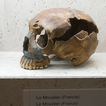 Gisement préhistorique du Moustier à Saint-Léon-sur-Vézère