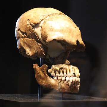 Gisement préhistorique du Moustier à Saint-Léon-sur-Vézère