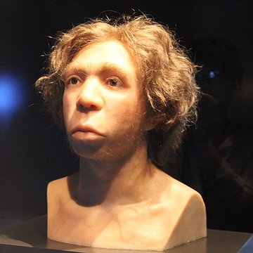 Gisement préhistorique du Moustier à Saint-Léon-sur-Vézère