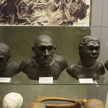 Gisement préhistorique du Moustier à Saint-Léon-sur-Vézère