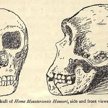 Gisement préhistorique du Moustier à Saint-Léon-sur-Vézère