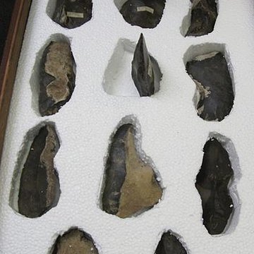 Gisement préhistorique du Moustier à Saint-Léon-sur-Vézère