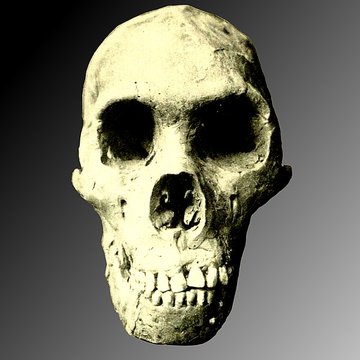 Gisement préhistorique du Moustier à Saint-Léon-sur-Vézère