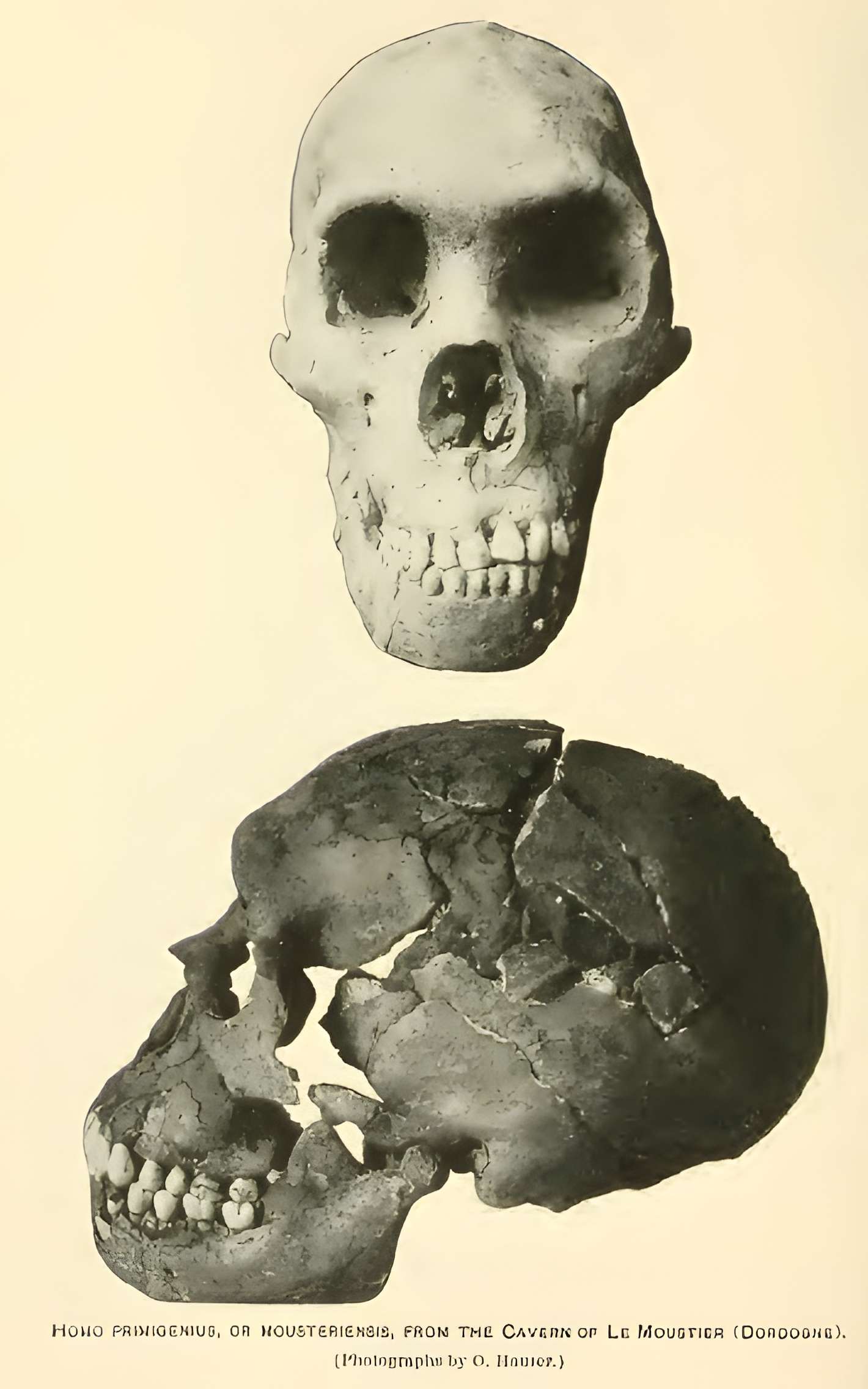 Gisement préhistorique du Moustier à Saint-Léon-sur-Vézère