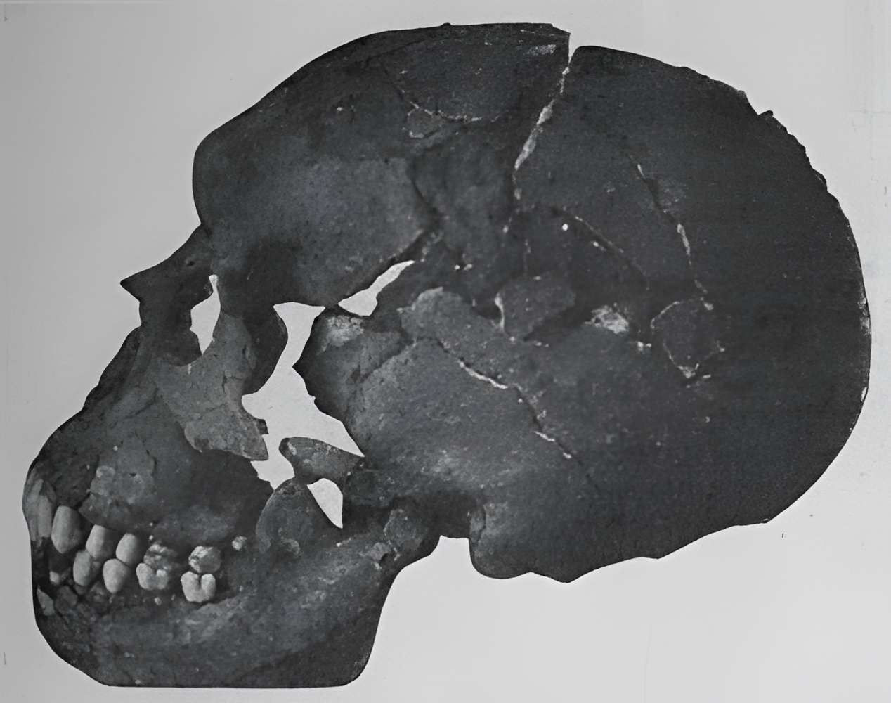 Gisement préhistorique du Moustier à Saint-Léon-sur-Vézère